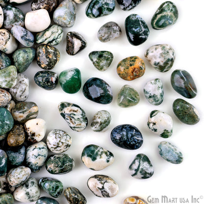 Tree Agate Tumbled Stone Kit Wholesale Bulk Lot of Natural Gemstone for Reiki & Chakra Healing Mix Assorted Tumbled Stone