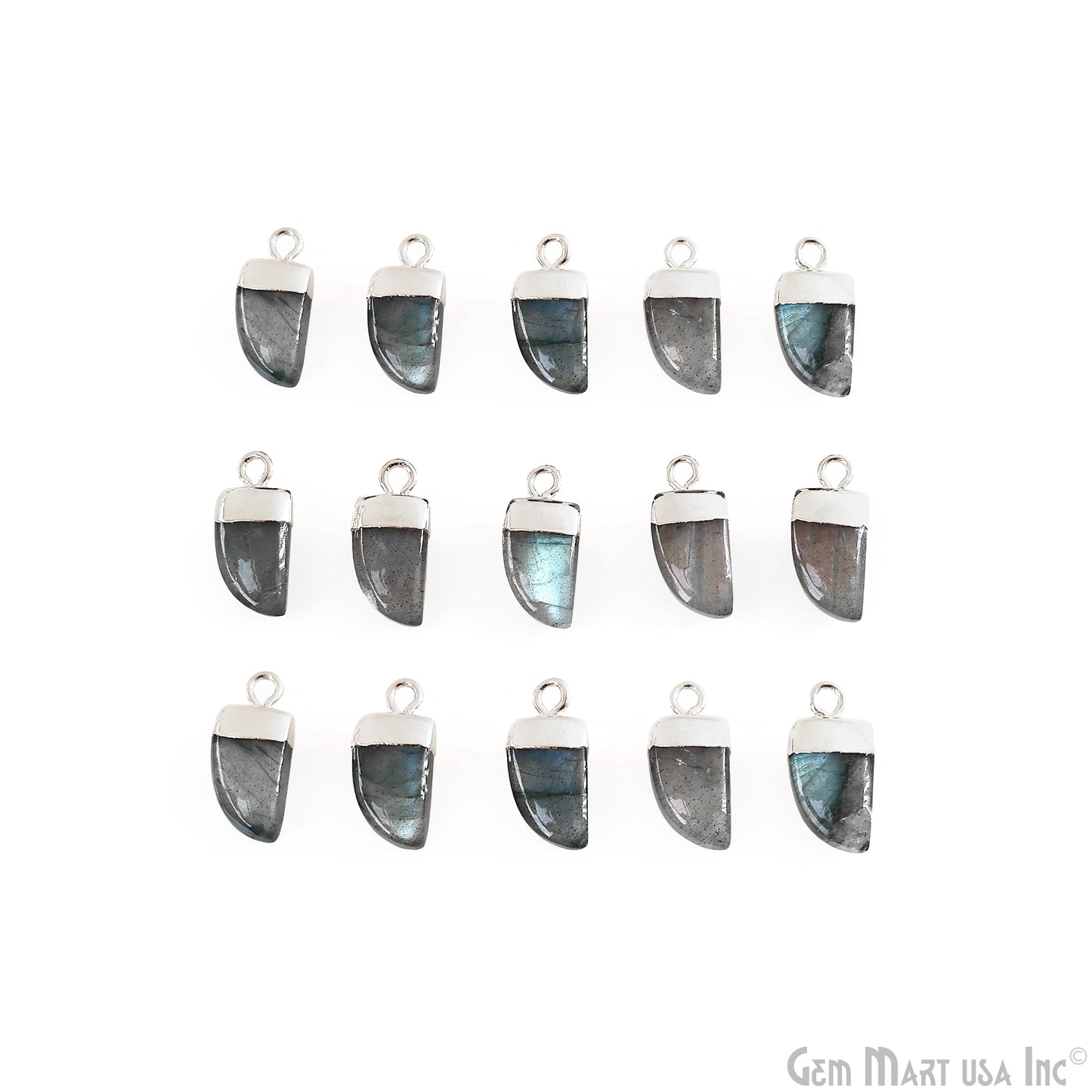 Tiger Nail Shape Silver Electroplated 16x8mm Gemstone Connector