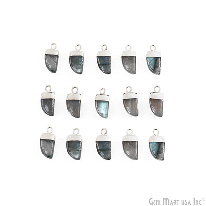 Tiger Nail Shape Silver Electroplated 16x8mm Gemstone Connector