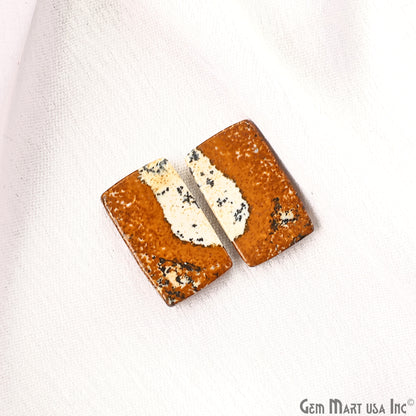 Picture Jasper Free Form Shape 20x15mm Loose Gemstone For Earring Pair