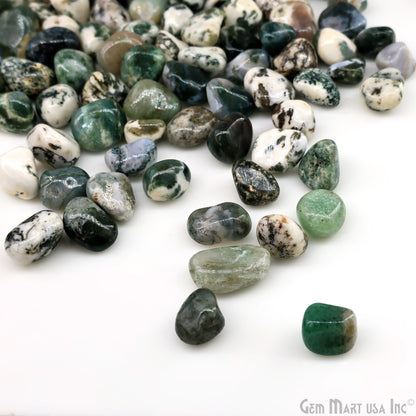 Tree Agate Tumbled Stone Kit Wholesale Bulk Lot of Natural Gemstone for Reiki & Chakra Healing Mix Assorted Tumbled Stone