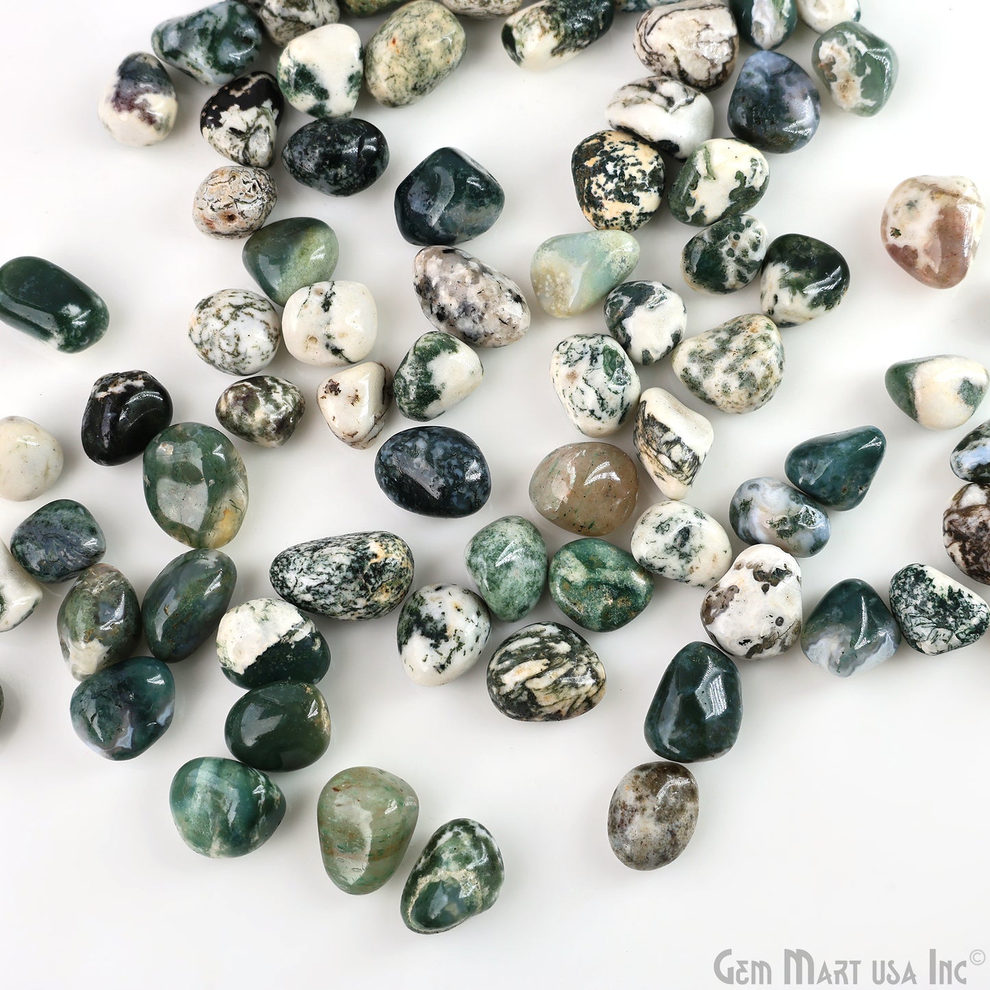 Tree Agate Tumbled Stone Kit Wholesale Bulk Lot of Natural Gemstone for Reiki & Chakra Healing Mix Assorted Tumbled Stone