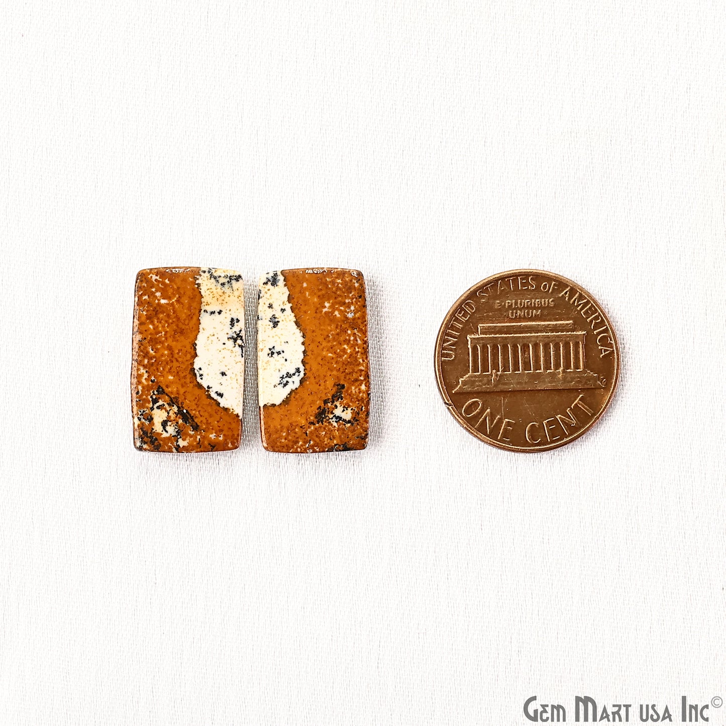 Picture Jasper Free Form Shape 20x15mm Loose Gemstone For Earring Pair