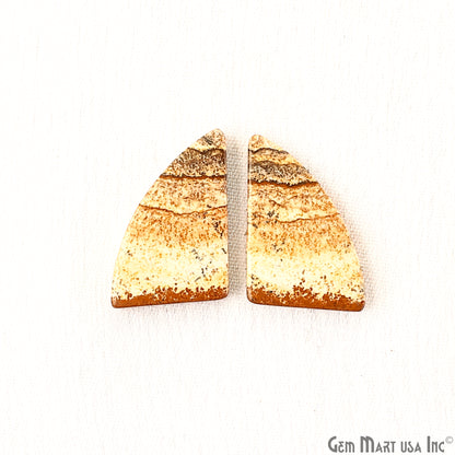 Picture Jasper Free Form Shape 23x17mm Loose Gemstone For Earring Pair