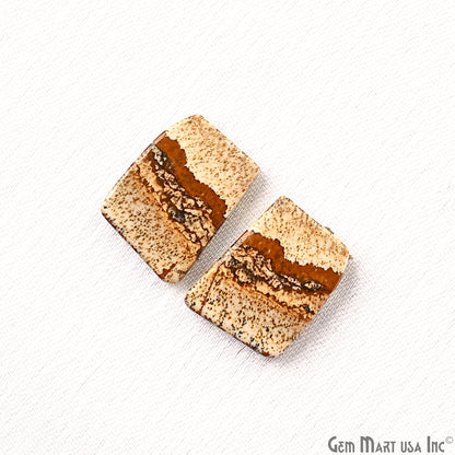 Picture Jasper Free Form Shape 20x15mm Loose Gemstone For Earring Pair