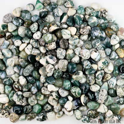 Tree Agate Tumbled Stone Kit Wholesale Bulk Lot of Natural Gemstone for Reiki & Chakra Healing Mix Assorted Tumbled Stone