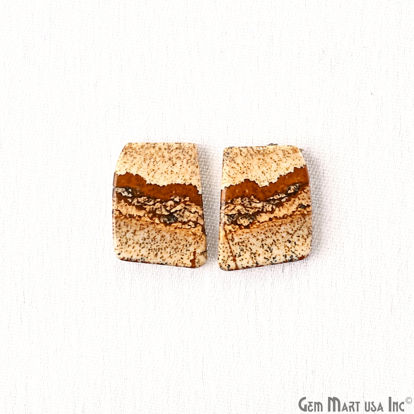 Picture Jasper Free Form Shape 20x15mm Loose Gemstone For Earring Pair