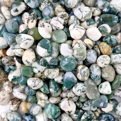 Tree Agate Tumbled Stone Kit Wholesale Bulk Lot of Natural Gemstone for Reiki & Chakra Healing Mix Assorted Tumbled Stone