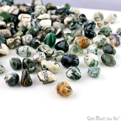 Tree Agate Tumbled Stone Kit Wholesale Bulk Lot of Natural Gemstone for Reiki & Chakra Healing Mix Assorted Tumbled Stone