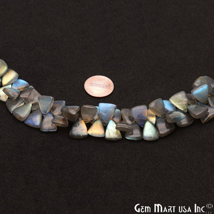 Labradorite Triangle 12x8mm Cabochon Crafting Beads Gemstone Strands 8 Inch - GemMartUSA