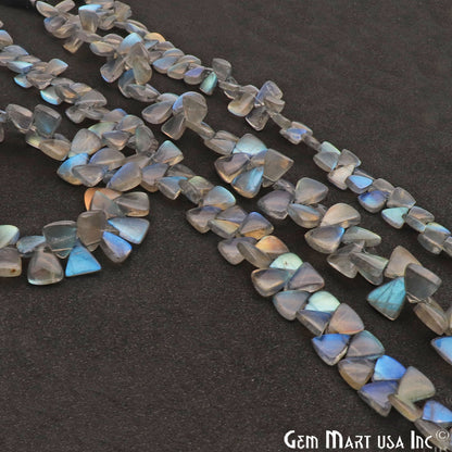 Labradorite Triangle 10x7mm Cabochon Crafting Beads Gemstone Strands 8 Inch - GemMartUSA