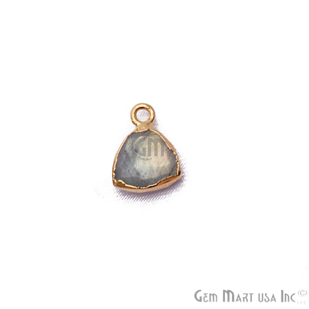 Labradorite 10mm Trillion Gold Electroplated Gemstone Connector