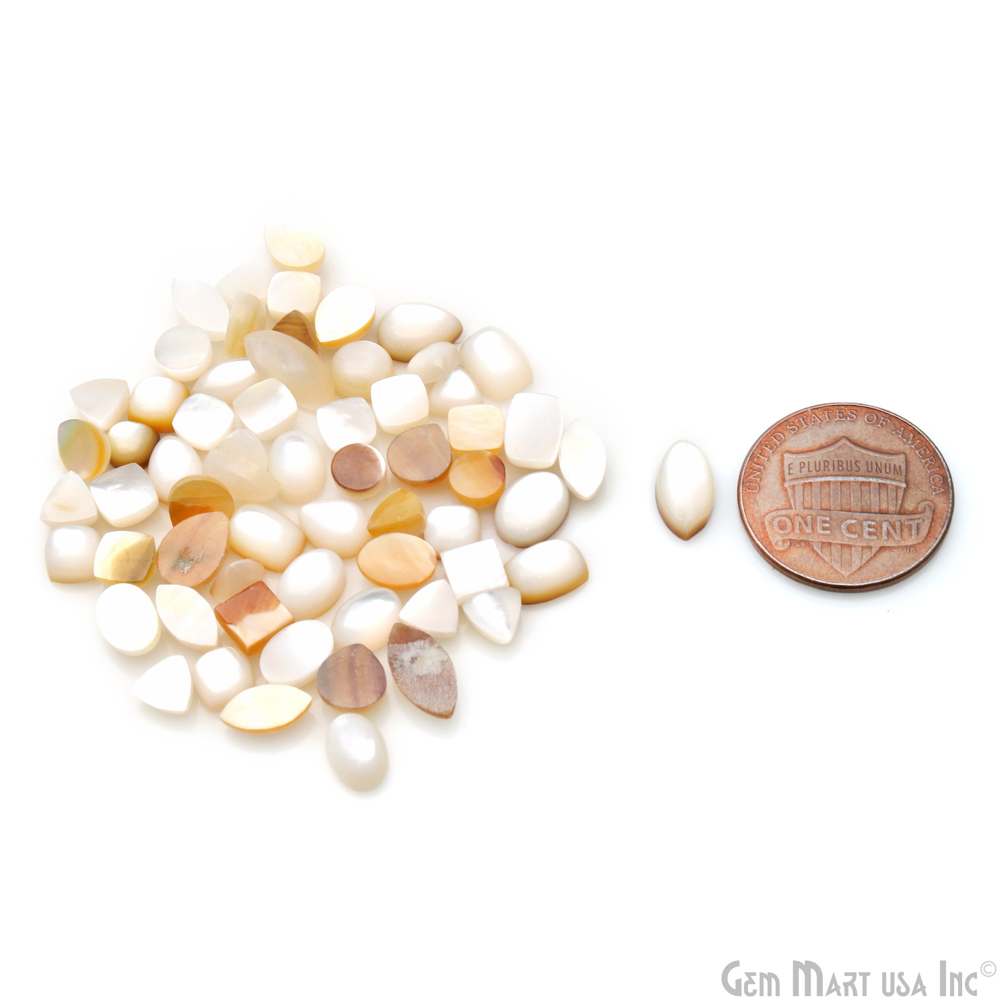 Mother Of Freshwater Pearl