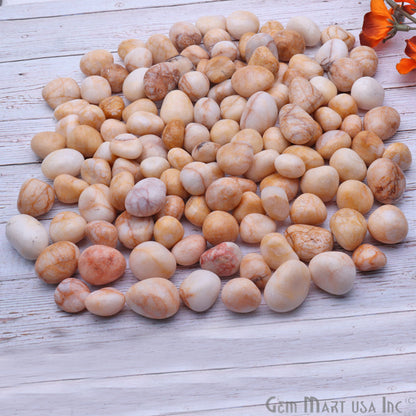 3.53oz Lot Yellow White Tumbled Reiki Healing Metaphysical Beach Spiritual Gemstone - GemMartUSA