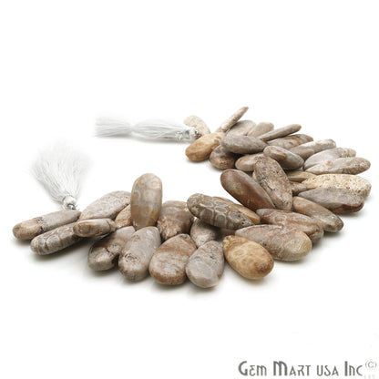 Fossil Coral Pears 28x13mm Crafting Beads Gemstone Strands 8INCH - GemmartUSA