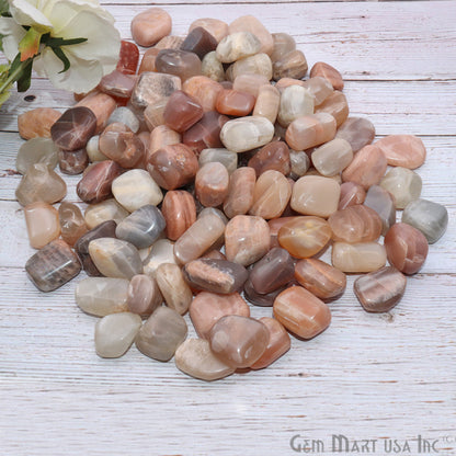 3.53oz Lot Multi Stone Tumbled, Reiki Healing, Beach Stone, Wiccan Stone - GemMartUSA