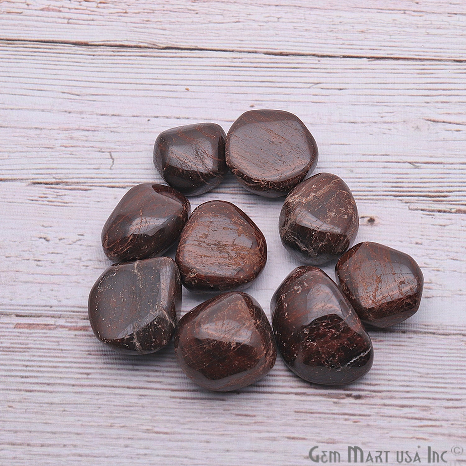 3.53oz Lot Brown Agate Tumbled Reiki Healing Metaphysical Beach Spiritual Gemstone - GemMartUSA