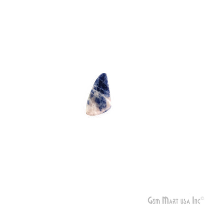 Sodalite Freeform Shape 28x13mm Loose Gemstone For Earring Pair