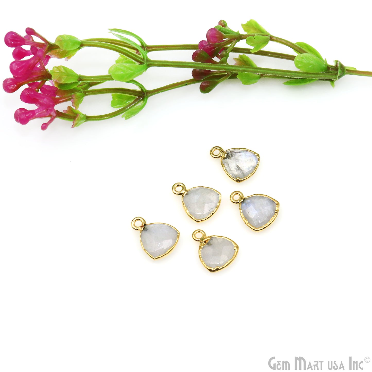Rainbow Moonstone 10mm Trillion Gold Edged Bail Gemstone Connector