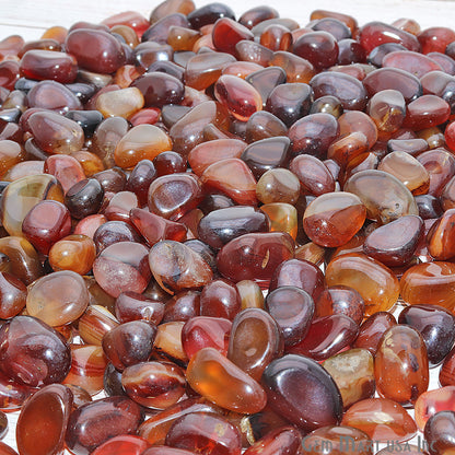 3.53oz Lot Multi Agate Tumbled Reiki Healing Metaphysical Beach Spiritual Gemstone - GemMartUSA