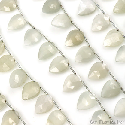 White Chalcedony Kite Beads, 6 Inch Gemstone Strands, Drilled Strung Briolette Beads, Kite Shape, 16x12mm